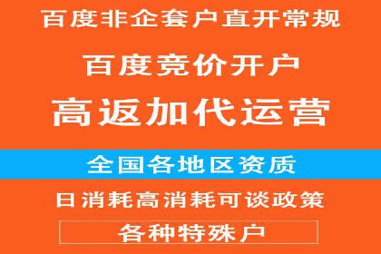 成功运用SEM服务实现品牌推广的案例分析